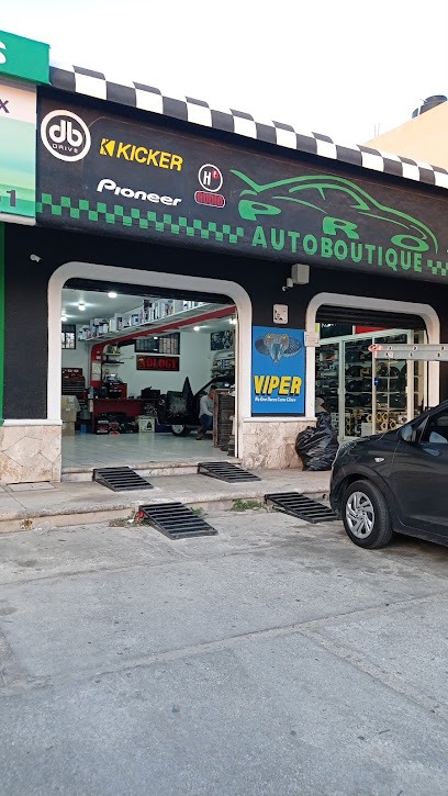Negocio Pro Autoboutique