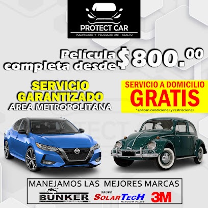 Negocio Protect Car