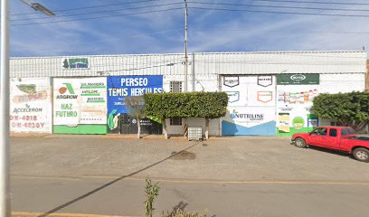 Negocio Refaccionaria Y Polarizado Martin