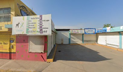 Servicio Integral De Polarizado
