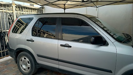 Negocio Tj Polarizados