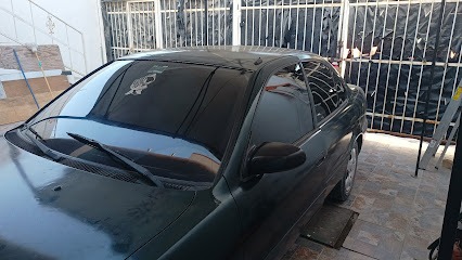 Negocio Tj Polarizados