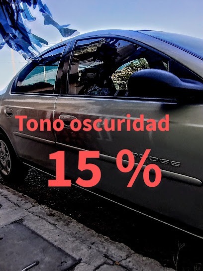 Toluco ⭐ Polarizado's