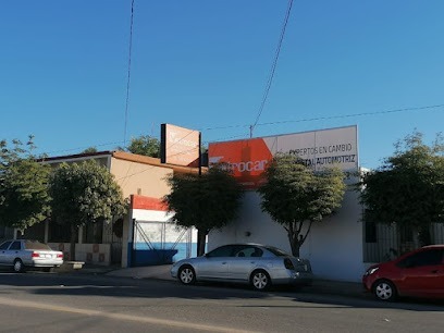 Negocio Vitrocar Navojoa